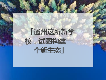通州这所新学校，试图构建一个新生态