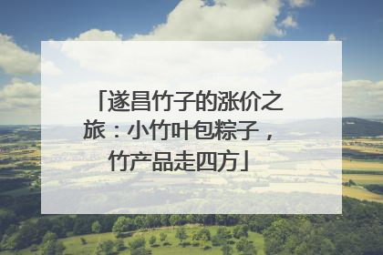 遂昌竹子的涨价之旅：小竹叶包粽子，竹产品走四方