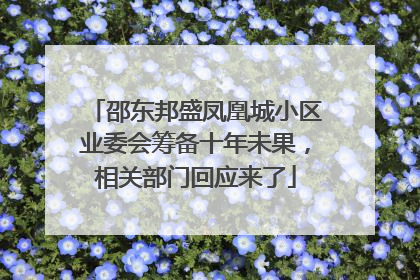 邵东邦盛凤凰城小区业委会筹备十年未果，相关部门回应来了