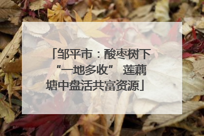 邹平市：酸枣树下“一地多收” 莲藕塘中盘活共富资源