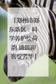 郑州市郑东新区：科学养护绘荷韵 盛景迎客绽芳华