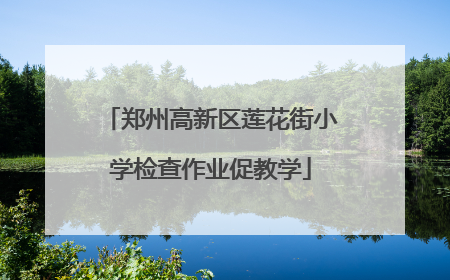 郑州高新区莲花街小学检查作业促教学