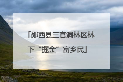 郧西县三官洞林区林下“掘金”富乡民