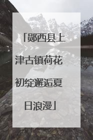郧西县上津古镇荷花初绽邂逅夏日浪漫
