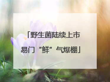 野生菌陆续上市 易门“鲜”气爆棚