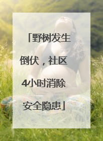 野树发生倒伏，社区4小时消除安全隐患
