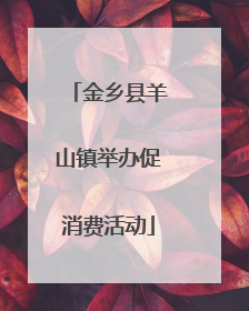 金乡县羊山镇举办促消费活动