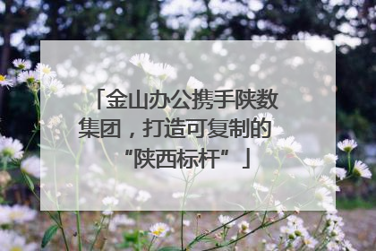 金山办公携手陕数集团，打造可复制的“陕西标杆”