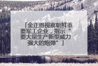 金正恩视察朝鲜重要军工企业，指示“要大量生产新型威力强大的炮弹”