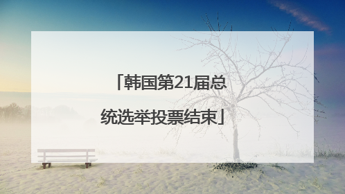 韩国第21届总统选举投票结束