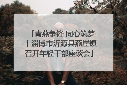 青燕争锋 同心筑梦丨淄博市沂源县燕崖镇召开年轻干部座谈会