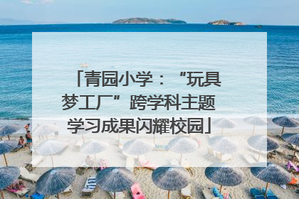 青园小学：“玩具梦工厂”跨学科主题学习成果闪耀校园