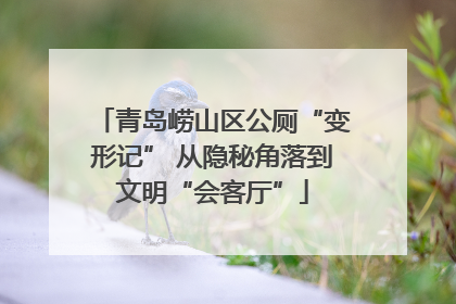 青岛崂山区公厕“变形记” 从隐秘角落到文明“会客厅”