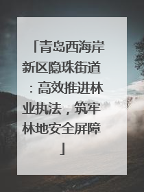 青岛西海岸新区隐珠街道：高效推进林业执法，筑牢林地安全屏障