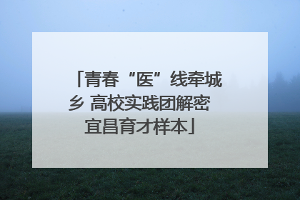 青春“医”线牵城乡 高校实践团解密宜昌育才样本