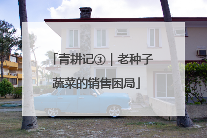 青耕记③｜老种子蔬菜的销售困局