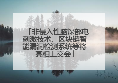 非侵入性脑深部电刺激技术、区块链智能漏洞检测系统等将亮相上交会