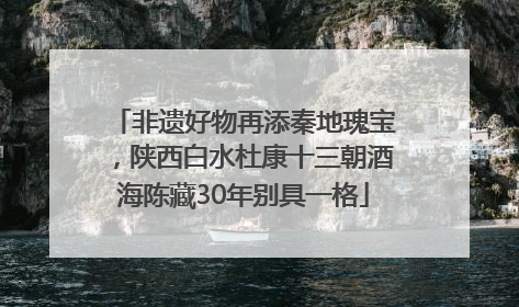 非遗好物再添秦地瑰宝，陕西白水杜康十三朝酒海陈藏30年别具一格