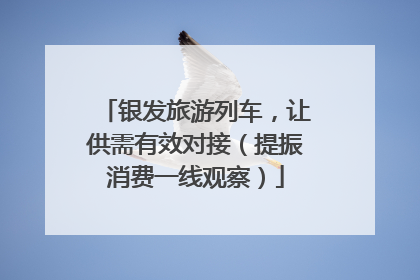 银发旅游列车，让供需有效对接（提振消费一线观察）