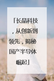 长晶科技，从创新到领先，揭秘国产半导体崛起