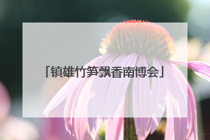 镇雄竹笋飘香南博会