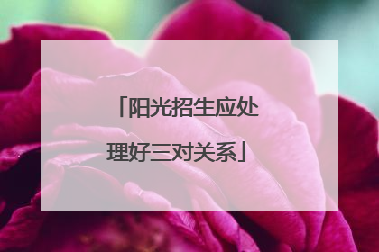 阳光招生应处理好三对关系