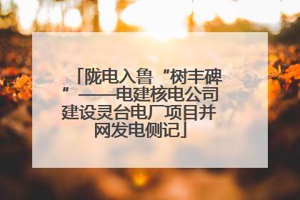 陇电入鲁“树丰碑”——电建核电公司建设灵台电厂项目并网发电侧记