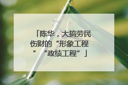陈华，大搞劳民伤财的“形象工程”“政绩工程”