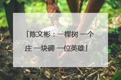 陈文彬：一棵树 一个庄 一块碑 一位英雄
