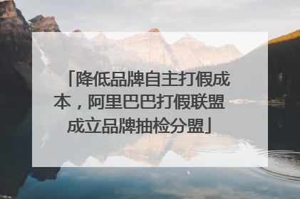 降低品牌自主打假成本，阿里巴巴打假联盟成立品牌抽检分盟
