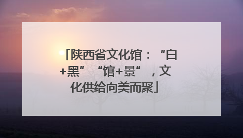 陕西省文化馆：“白+黑”“馆+景”，文化供给向美而聚