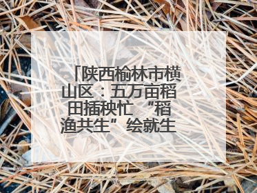 陕西榆林市横山区：五万亩稻田插秧忙 “稻渔共生”绘就生态富民新画卷