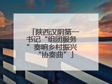 陕西汉阴第一书记“组团服务”奏响乡村振兴“协奏曲”