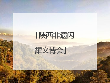 陕西非遗闪耀文博会