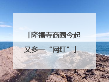 隆福寺商圈今起又多一“网红”