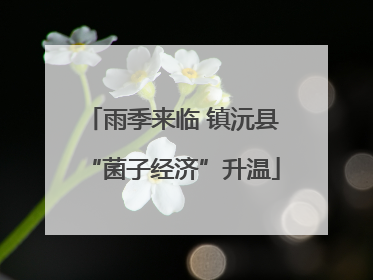 雨季来临 镇沅县“菌子经济”升温