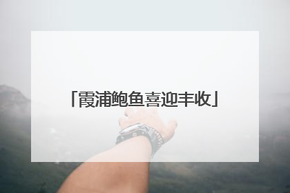 霞浦鲍鱼喜迎丰收