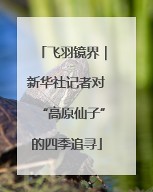 飞羽镜界｜新华社记者对“高原仙子”的四季追寻