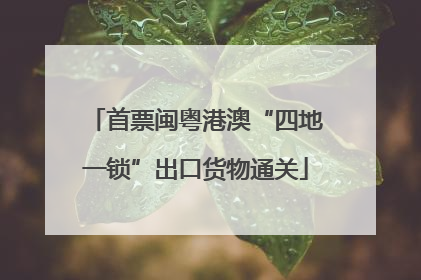 首票闽粤港澳“四地一锁”出口货物通关