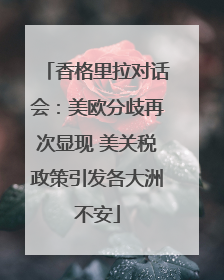 香格里拉对话会：美欧分歧再次显现 美关税政策引发各大洲不安