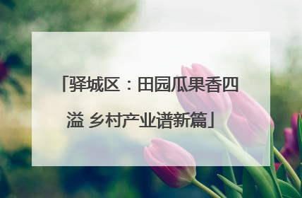 驿城区：田园瓜果香四溢 乡村产业谱新篇