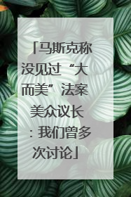 马斯克称没见过“大而美”法案 美众议长：我们曾多次讨论