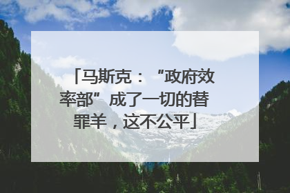 马斯克：“政府效率部”成了一切的替罪羊，这不公平