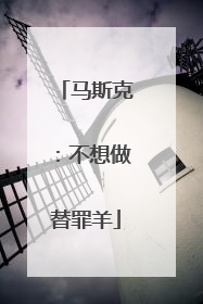 马斯克：不想做替罪羊