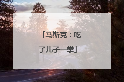 马斯克：吃了儿子一拳