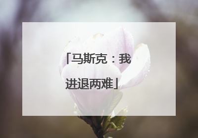马斯克：我进退两难
