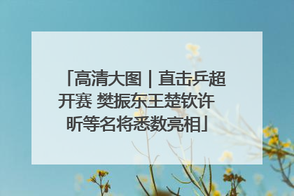 高清大图｜直击乒超开赛 樊振东王楚钦许昕等名将悉数亮相
