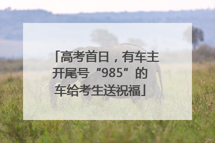 高考首日，有车主开尾号“985”的车给考生送祝福