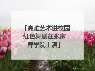 高雅艺术进校园 红色舞剧在张家界学院上演