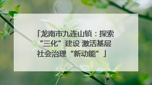 龙南市九连山镇：探索“三化”建设 激活基层社会治理“新动能”